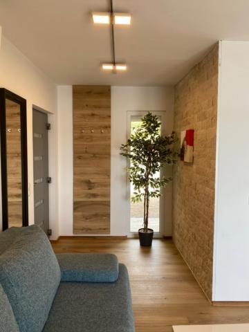 Villa Od Moore Starigrad Eksteriør billede